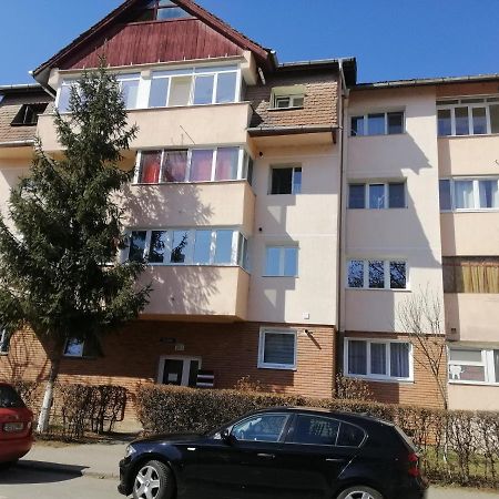Studio Acasa Hermannstadt Exterior foto