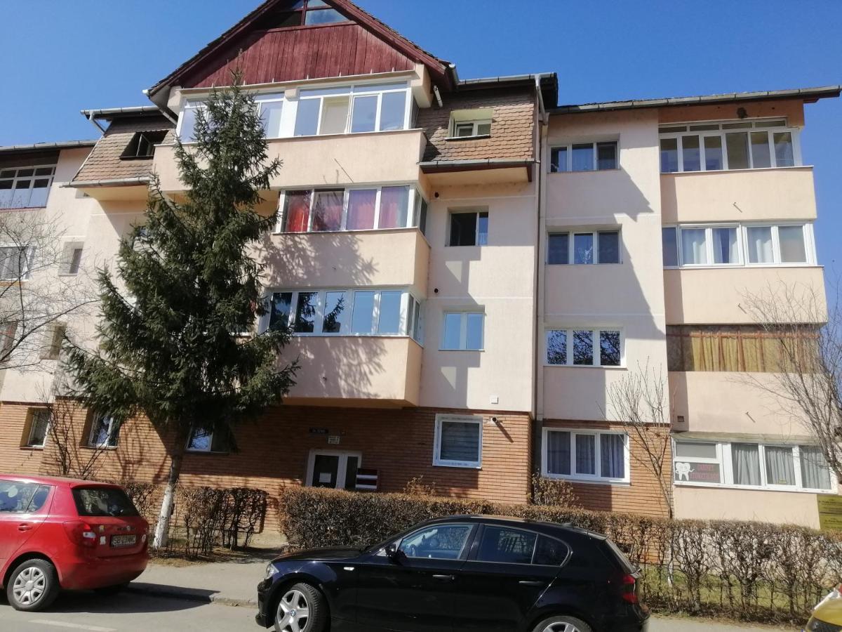 Studio Acasa Hermannstadt Exterior foto